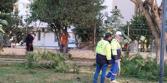 Muratpaşa’da parklara kış bakımı