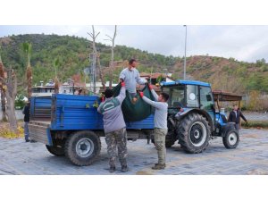 Kemer’de bahçe atıkları toplama programı başladı