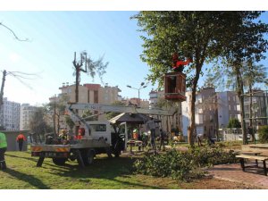 Kepez Belediyesi’nden Çankaya Mahallesi parkına kapsamlı yenileme