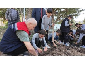 Eğirdir’de tıbbi aromatik bitkiler bahçesi açıldı