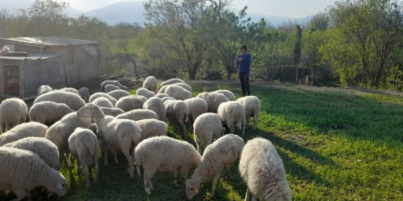 Besiciler dertli;  vatandaş şaşkın!
