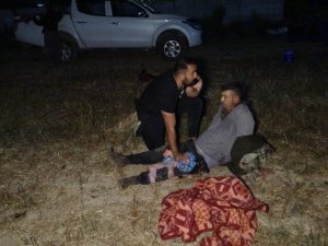 Aslan çiftçiye saldırdı