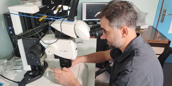 Akdeniz’de deniz suyu sıcaklığı arttı