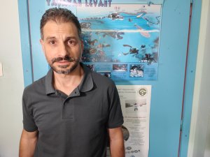 Akdeniz’de deniz suyu sıcaklığı arttı