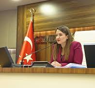 Chp'nin Adayı Özdemir