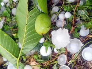 Mersin'de şiddetli dolu yağışı etkili oldu