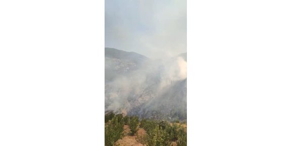 Gazipaşa'da orman yangını