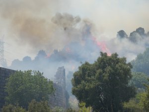 Güzeloba’daki yangınla ilgili 1 kişi gözaltında