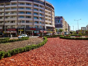 Kurakçıl peyzaj çalışmalarıyla su ve enerji tasarrufu sağlanıyor