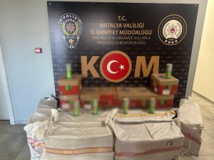 Antalya'da rüşvet ve kaçakçılık operasyonları: 2 tutuklama