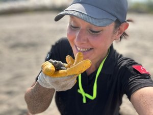 Yavru caretta carettaların denizle buluşması için nöbet tutuluyor