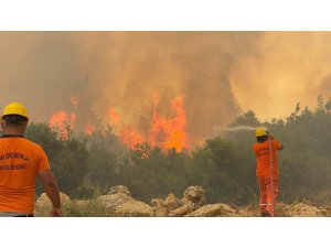 118 orman yangınında 540.2 hektar alan zarar gördü.
