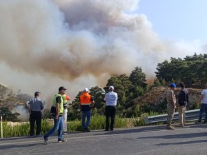 Mersin'deki orman yangını: 5 ilden takviye geldi ekiplerin müdahalesi sürüyor
