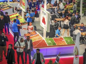 GROWTECH. ANTALYA’DA YENİ SALON, YENİ ETKİNLİKLER