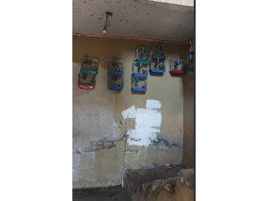 EVİNDE SAKA KUŞU BULUNAN ŞAHSA 151 BİN 200 LİRA PARA CEZASI