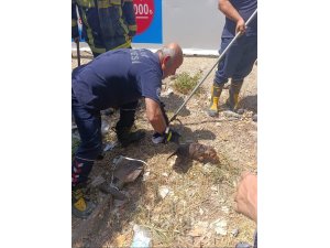 KUYUYA DÜŞEN YAVRU KÖPEK KURTARILDI