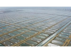 TARIMA DAYALI İHTİSAS SU ÜRÜNLERİ ORGANİZE SANAYİ BÖLGESİNDE ÖN TALEP SÜRECİ BAŞLADI