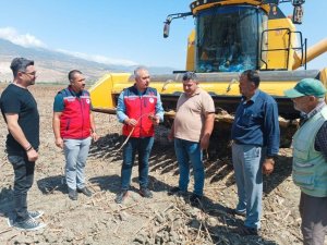 KIRIKHAN’DA AYÇİÇEĞİ HASADI BAŞLADI