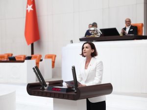 ALARA ÇAYI YİNE HES TEHDİDİ ALTINDA