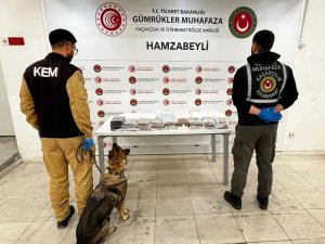 ESRAR VE METAMFETAMİNE GÜMRÜK DARBESİ