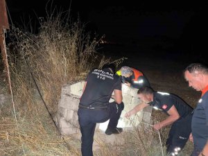 KUYUYA DÜŞEN KEDİ İTFAİYE TARAFINDAN KURTARILDI
