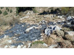 BURDUR’DA ÇALILIK ALANDA YANGIN