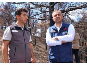 KAHRAMANMARAŞ’TA  YANAN ORMANLIK ALANLAR FİDANLARLA BULUŞTURULACAK