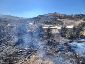 ANTAKYA’DA BAHÇE YANGINI