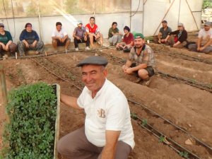 GÜZ DÖNEMİ DOMATES EKİMİ BAŞLADI