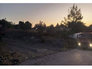 DÖRTYOL’DA ORMAN YANGINI BÜYÜMEDEN SÖNDÜRÜLDÜ