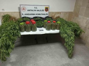 ANTALYA’DA 43 KİLO UYUŞTURUCU MADDE ELE GEÇİRİLDİ