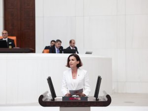 COŞAR: 'DOĞA VE SU KAYNAKLARI TEHLİKEDE'