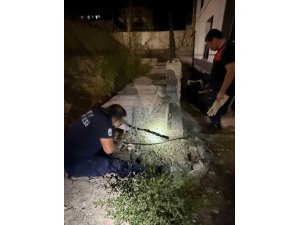 ANTAKYA’DA BETON BORU İÇİNDE SIKIŞAN KEDİ KURTARILDI