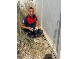 KONTEYNERİN ALTINDA MAHSUR KALAN KEDİLERİ İTFAİYE KURTARDI