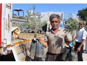 ANTALYA BÜYÜKŞEHİR BELEDİYESİ’NDEN FİDAN DESTEĞİ