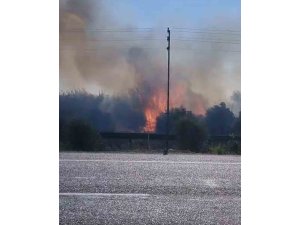 ZAMANINDA MÜDAHALE YANGININ BAHÇELERE SIÇRAMASINI ÖNLEDİ