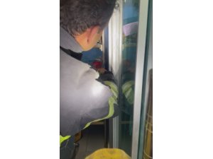 MARKETİN SOĞUTMA DOLABINA GİREN YILANI, İTFAİYE YAKALADI