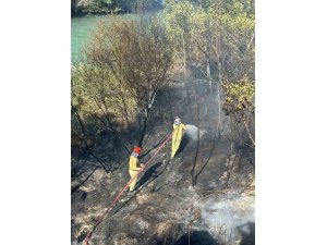 MERSİN’DE BAHÇE YANGINI BÜYÜMEDEN SÖNDÜRÜLDÜ