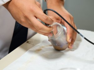 BOZULAN TOPRAK SAĞLIĞI MERCEK ALTINDA