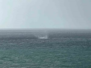 ALANYA AÇIKLARINDA OLUŞAN HORTUM KORKUTTU