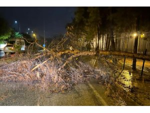 ALANYA BELEDİYESİ OLUMSUZ HAVA ŞARTLARINA KARŞI TEYAKKUZDA