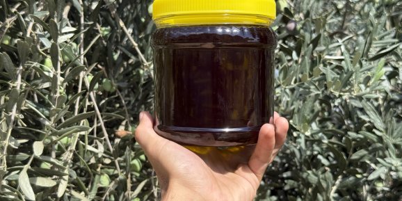 ZEYTİNDE REKOLTE BEKLENTİSİ DÜŞTÜ