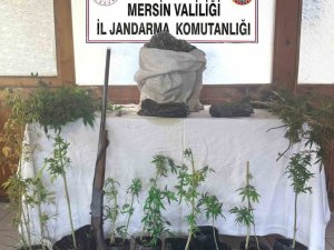 UYUŞTURUCU ÜRETEN ŞÜPHELİ YAKALANIP TUTUKLANDI