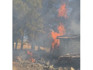 BUCAK’TA ODUNLUKTA ÇIKAN YANGIN KORKUTTU