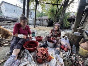 GELENEKSEL YÖNTEMLERLE KATKISIZ ÜRETİP KİLOSUNU 600 LİRADAN SATIYORLAR