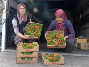 KADINLARDAN AVRUPA'YA 1 MİLYON ÇELENK