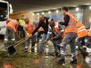 81 ARAÇ, 323 PERSONELLE HUMMALI ÇALIŞMA