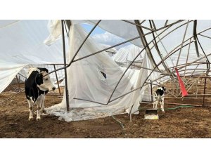 SERİK’TE HASAR TESPİT ÇALIŞMALARI SÜRÜYOR