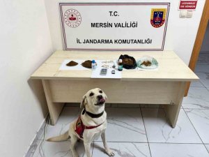 MERSİN’DE UYUŞTURUCU OPERASYONU: 5 ŞÜPHELİ TUTUKLANDI