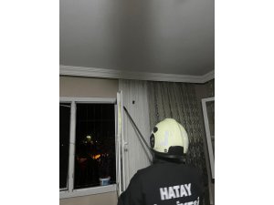 ARSUZ’DA EVE GİREN YARASAYI İTFAİYE YAKALADI